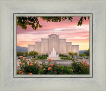 Load image into Gallery viewer, Albuquerque Morning Rose
