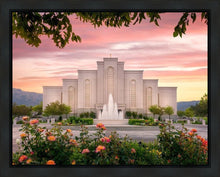Load image into Gallery viewer, Albuquerque Morning Rose
