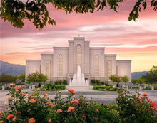 Load image into Gallery viewer, Albuquerque Morning Rose
