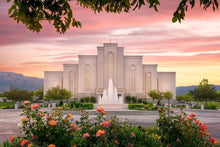 Load image into Gallery viewer, Albuquerque Morning Rose
