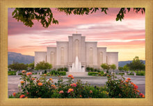 Load image into Gallery viewer, Albuquerque Morning Rose
