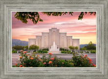 Load image into Gallery viewer, Albuquerque Morning Rose
