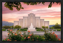 Load image into Gallery viewer, Albuquerque Morning Rose
