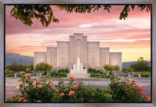 Load image into Gallery viewer, Albuquerque Morning Rose
