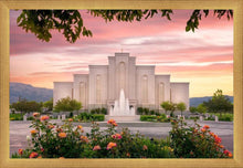 Load image into Gallery viewer, Albuquerque Morning Rose
