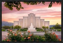 Load image into Gallery viewer, Albuquerque Morning Rose
