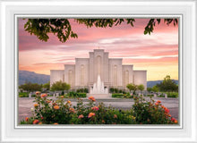 Load image into Gallery viewer, Albuquerque Morning Rose
