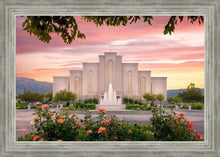 Load image into Gallery viewer, Albuquerque Morning Rose
