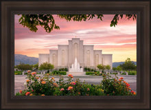 Load image into Gallery viewer, Albuquerque Morning Rose
