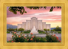 Load image into Gallery viewer, Albuquerque Morning Rose
