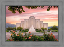 Load image into Gallery viewer, Albuquerque Morning Rose
