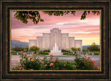 Load image into Gallery viewer, Albuquerque Morning Rose
