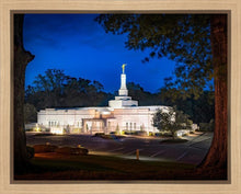 Load image into Gallery viewer, Baton Rouge and the Louisiana Blues
