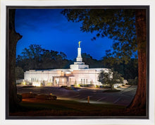Load image into Gallery viewer, Baton Rouge and the Louisiana Blues

