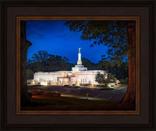 Load image into Gallery viewer, Baton Rouge and the Louisiana Blues
