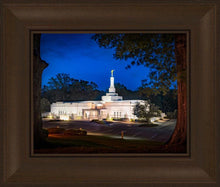 Load image into Gallery viewer, Baton Rouge and the Louisiana Blues
