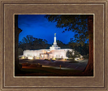 Load image into Gallery viewer, Baton Rouge and the Louisiana Blues
