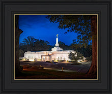 Load image into Gallery viewer, Baton Rouge and the Louisiana Blues

