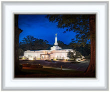 Load image into Gallery viewer, Baton Rouge and the Louisiana Blues

