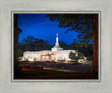 Load image into Gallery viewer, Baton Rouge and the Louisiana Blues
