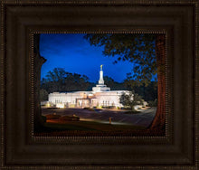 Load image into Gallery viewer, Baton Rouge and the Louisiana Blues
