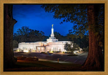 Load image into Gallery viewer, Baton Rouge and the Louisiana Blues
