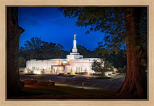 Load image into Gallery viewer, Baton Rouge and the Louisiana Blues
