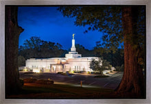 Load image into Gallery viewer, Baton Rouge and the Louisiana Blues
