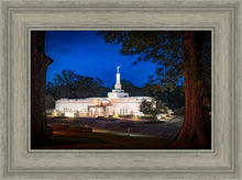 Load image into Gallery viewer, Baton Rouge and the Louisiana Blues
