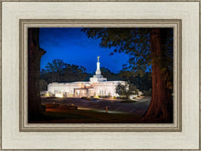 Load image into Gallery viewer, Baton Rouge and the Louisiana Blues
