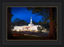 Load image into Gallery viewer, Baton Rouge and the Louisiana Blues
