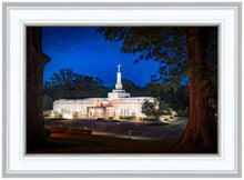 Load image into Gallery viewer, Baton Rouge and the Louisiana Blues

