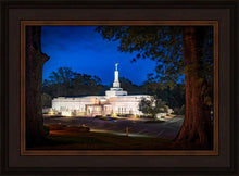 Load image into Gallery viewer, Baton Rouge and the Louisiana Blues
