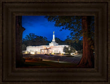Load image into Gallery viewer, Baton Rouge and the Louisiana Blues
