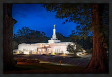 Load image into Gallery viewer, Baton Rouge and the Louisiana Blues
