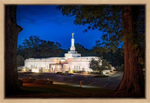 Load image into Gallery viewer, Baton Rouge and the Louisiana Blues
