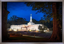 Load image into Gallery viewer, Baton Rouge and the Louisiana Blues
