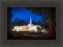 Load image into Gallery viewer, Baton Rouge and the Louisiana Blues
