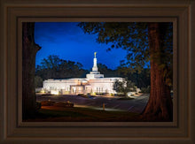 Load image into Gallery viewer, Baton Rouge and the Louisiana Blues
