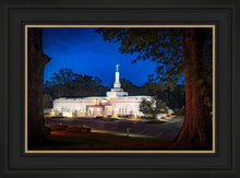 Load image into Gallery viewer, Baton Rouge and the Louisiana Blues
