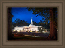 Load image into Gallery viewer, Baton Rouge and the Louisiana Blues
