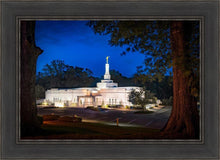 Load image into Gallery viewer, Baton Rouge and the Louisiana Blues

