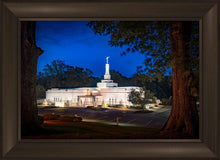 Load image into Gallery viewer, Baton Rouge and the Louisiana Blues
