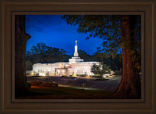 Load image into Gallery viewer, Baton Rouge and the Louisiana Blues
