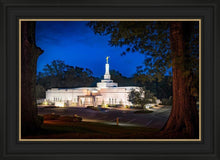 Load image into Gallery viewer, Baton Rouge and the Louisiana Blues
