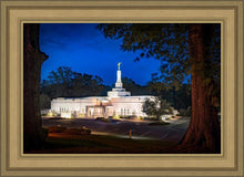 Load image into Gallery viewer, Baton Rouge and the Louisiana Blues
