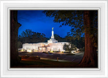 Load image into Gallery viewer, Baton Rouge and the Louisiana Blues
