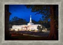 Load image into Gallery viewer, Baton Rouge and the Louisiana Blues

