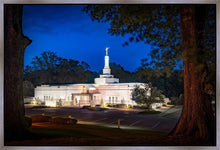 Load image into Gallery viewer, Baton Rouge and the Louisiana Blues
