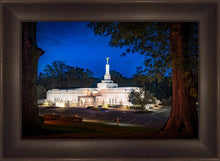 Load image into Gallery viewer, Baton Rouge and the Louisiana Blues
